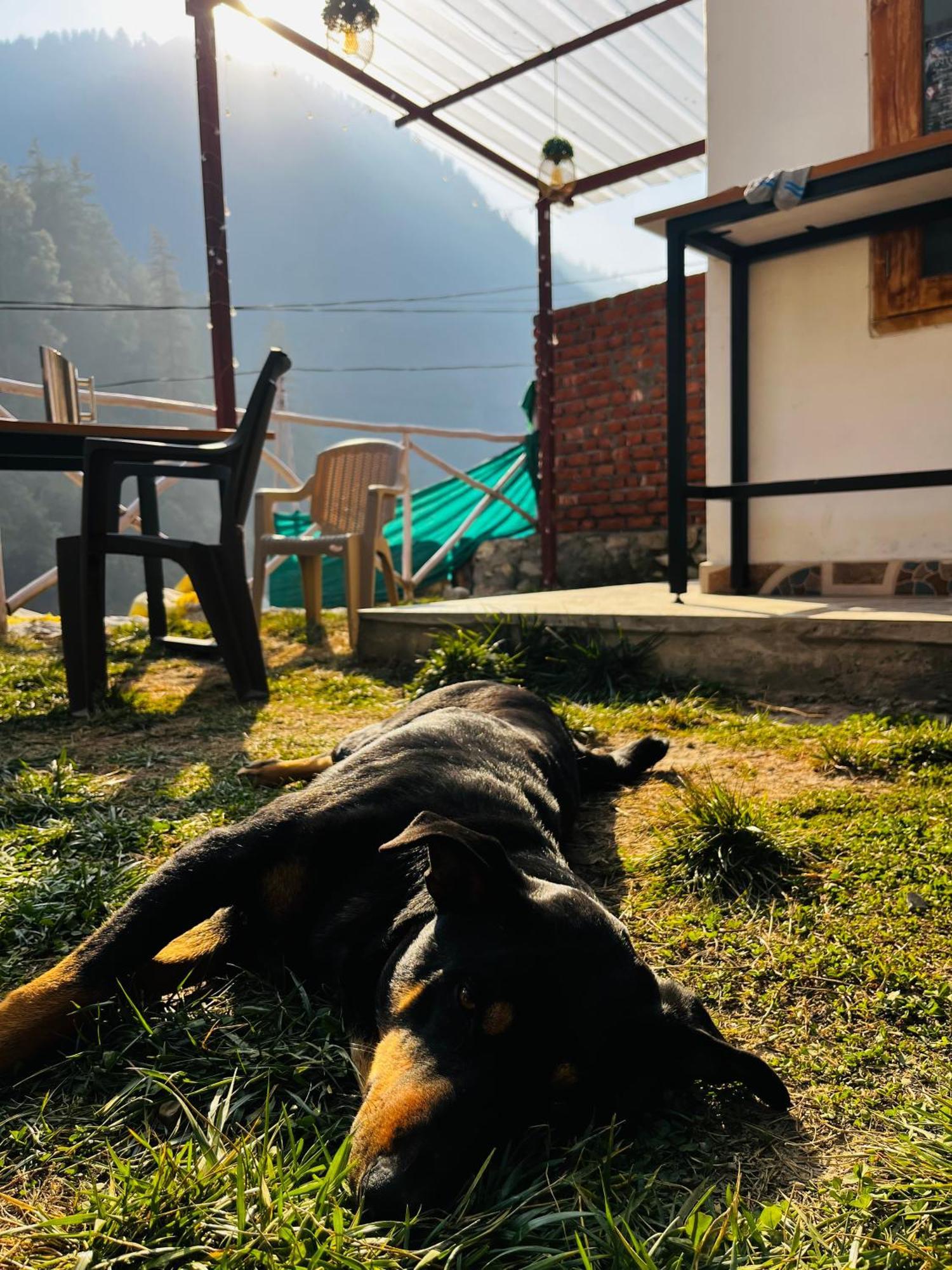 Hotel Adinova Kasol Exterior foto