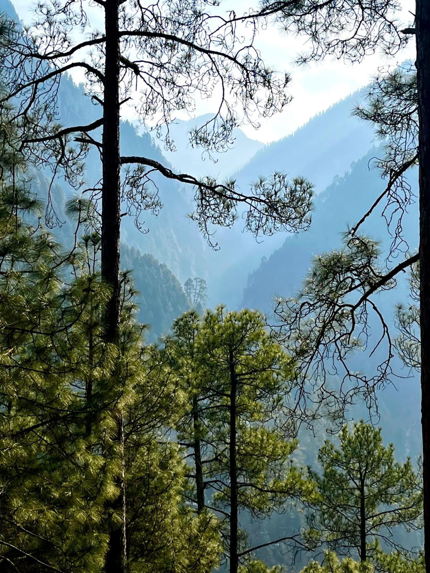 Hotel Adinova Kasol Exterior foto